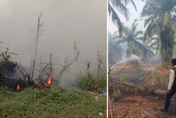 belasan_hektare_lahan_di_batu_bara_terbakar