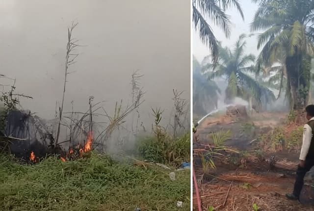 belasan_hektare_lahan_di_batu_bara_terbakar