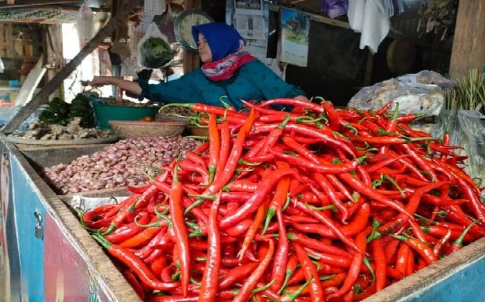 harga_cabai_merah_masih_pedas_di_medan_utara_warga_keluhkan_kenaikan