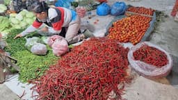 harga_cabai_merah_naik_50_persen_pengamat_proyeksikan_sumut_alami_inflasi_03_persen_di_september_