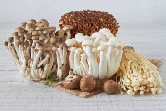 kandungan_protein_jamur_bisa_kalahkan_beras_dan_gandum_brin_ungkap_potensinya