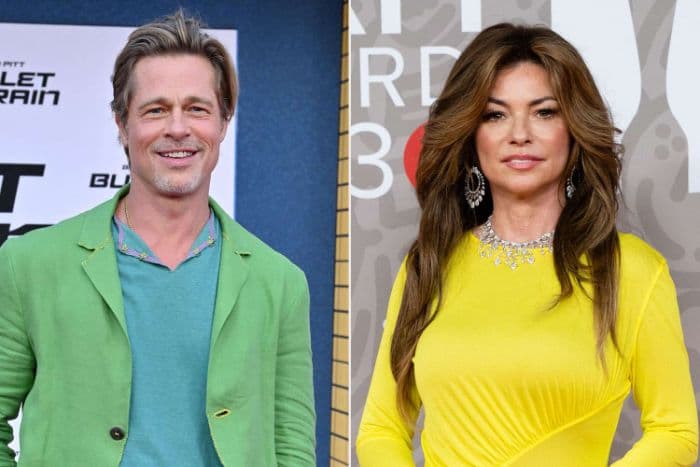 shania_twain_akui_pernah_sindir_brad_pitt_lewat_lagu_that_dont_impress_me_much