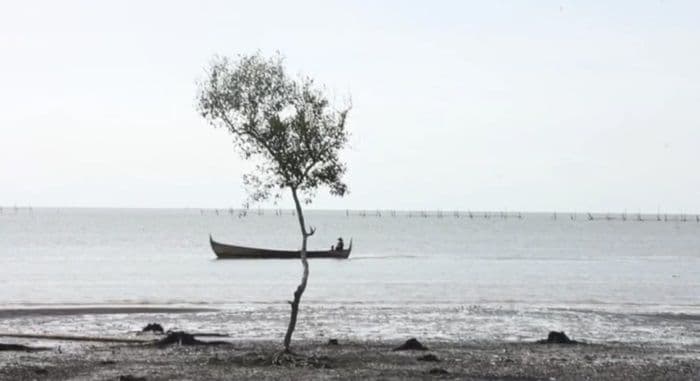 pantai_pasir_hitam_kwala_gebang_destinasi_wisata_alam_eksotis_di_langkat