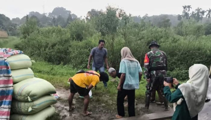 hingga_april_2025_bulog_siantar_serap_4160_ton_gabah_petani_