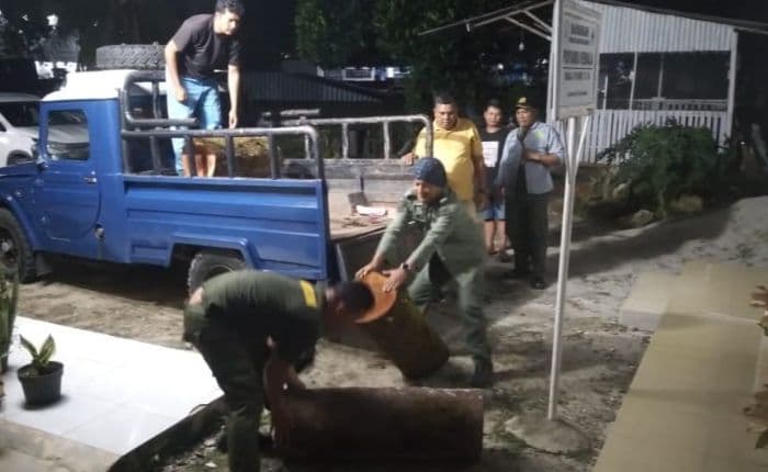 kayu_gelondongan_ditinggal_pelaku_pembalakan_liar_di_hutan_repa_disita_polisi