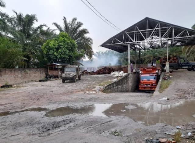 harga_tbs_sawit_simalungun_naik_rp10rp60_per_kg