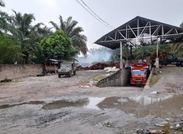 harga_tbs_sawit_simalungun_naik_rp10rp60_per_kg