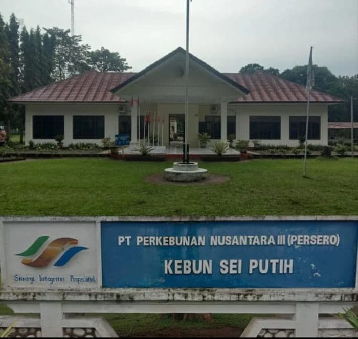 dugaan_korupsi_kebun_sei_putih_galang_ditangani_polresta_deli_serdang