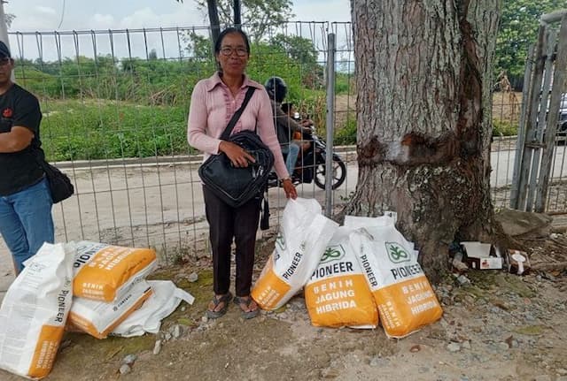 distan_sumut_salurkan_bibit_jagung_untuk_16_kelompok_tani_di_toba