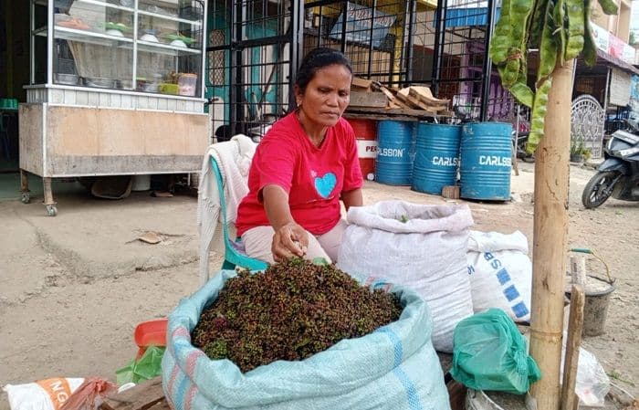 harga_andaliman_di_toba_naik_hingga_rp100000_per_kilogram_pedagang_sebut_penyusutan_jadi_faktor
