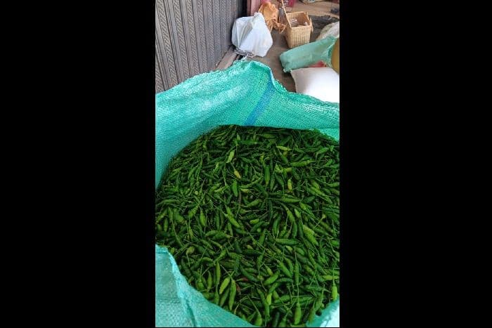 harga_cabai_di_tingkat_petani_dairi_turun_drastis_jadi_rp38_ribu_per_kilogram