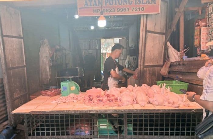 harga_daging_ayam_potong_di_pematangsiantar_turun_jadi_rp43000rp44000_per_kilogram