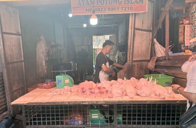 harga_daging_ayam_potong_di_pematangsiantar_turun_jadi_rp43000rp44000_per_kilogram