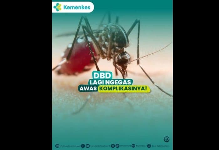 kasus_dbd_di_simalungun_capai_275_kasus_satu_orang_meninggal
