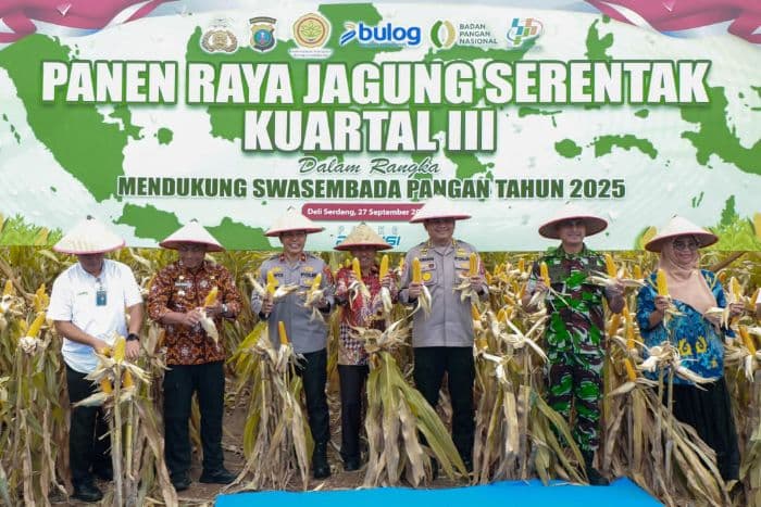 hingga_september_2025_polda_sumut_panen_2_ton_lebih_jagung