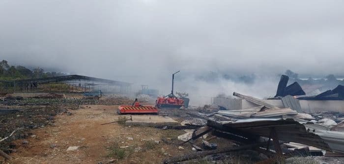 pt_gruti_minta_polisi_berikan_kepastian_hukum_terkait_aksi_massa_berujung_pembakaran_di_dairi