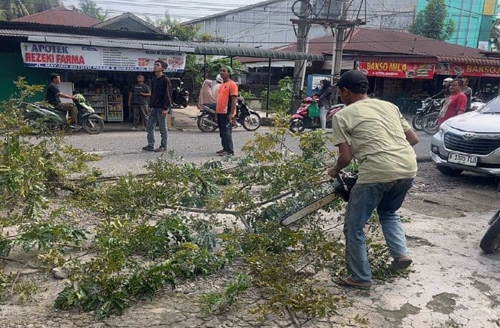 usai_disorot_dlh_binjai_pangkas_pohon_rawan_tumbang_di_jalan_protokol