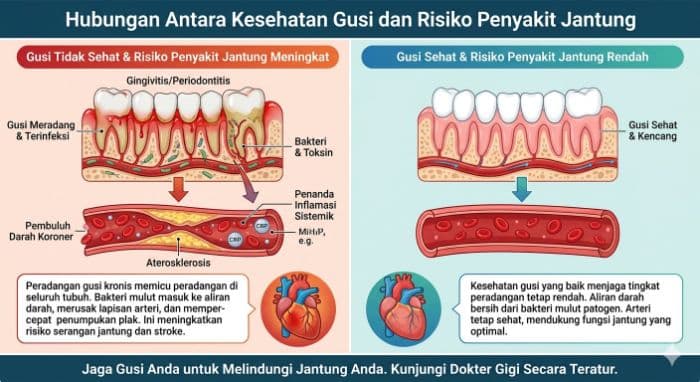 hubungan_kesehatan_gusi_dengan_risiko_penyakit_jantung_ini_penjelasannya
