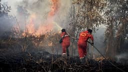polda_riau_tetapkan_65_tersangka_karhutla_kebakaran_capai_3394_hektare