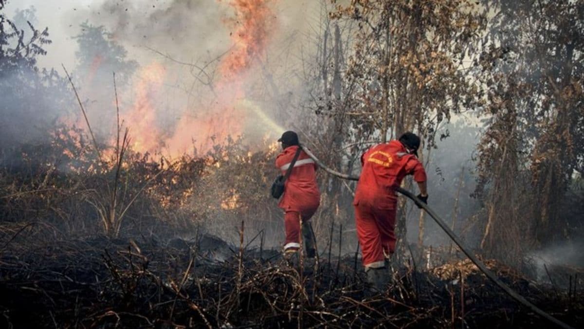 polda_riau_tetapkan_65_tersangka_karhutla_kebakaran_capai_3394_hektare