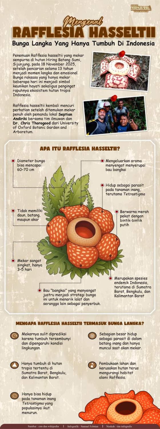 mengenal_refflesia_hasseltii_bunga_langka_yang_hanya_tumbuh_di_indonesia