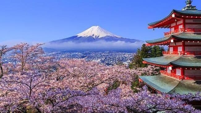 ada_beasiswa_ke_jepang_buat_guru_tunjangan_hidup_rp15_juta_per_bulan