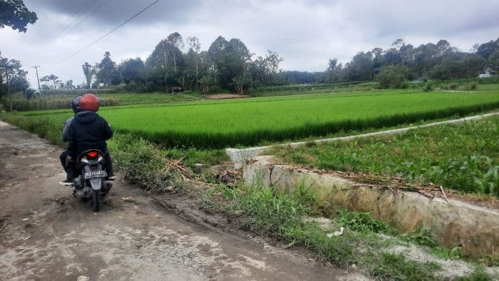 dukung_ketahanan_pangan_dprd_sumut_siapkan_perbaikan_irigasi_di_simalungun