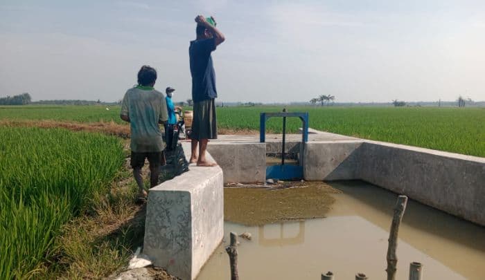 curah_hujan_minim_areal_persawahan_di_sergai_terancam_alami_kekeringan
