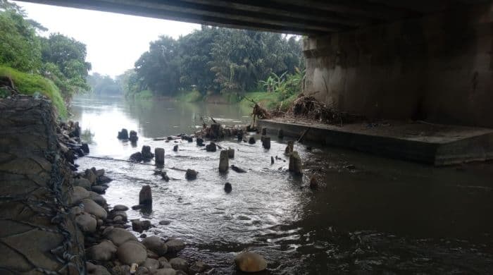 fenomena_ikan_mabok_di_sungai_padang_tebing_tinggi_hebohkan_warga_