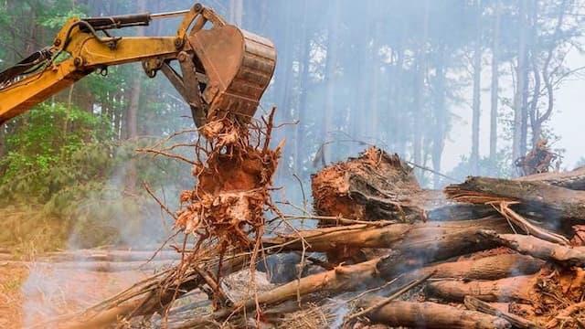 izin_perusahaan_dicabut_pascabencana_ekonom_nilai_ekonomi_sumut_tetap_stabil