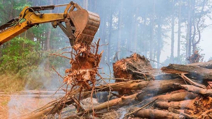 izin_perusahaan_dicabut_pascabencana_ekonom_nilai_ekonomi_sumut_tetap_stabil