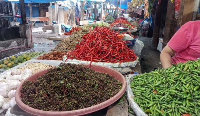 harga_cabai_di_toba_naik_rp5000_andaliman_bertahan_rp100000_per_kilogram_