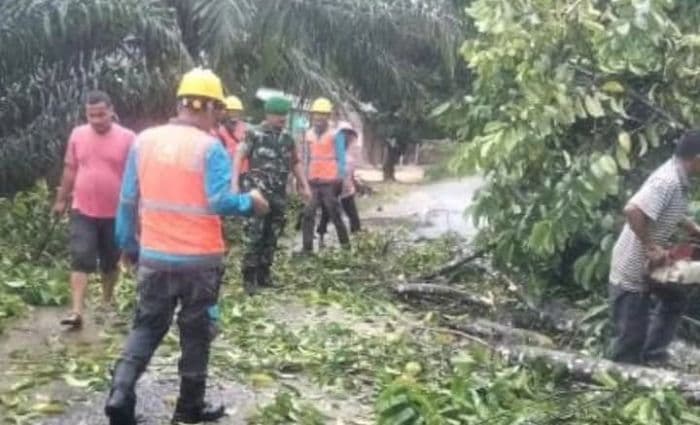 pohon_tumbang_hambat_akses_jalan_barusandam_dewi_tapanuli_tengah