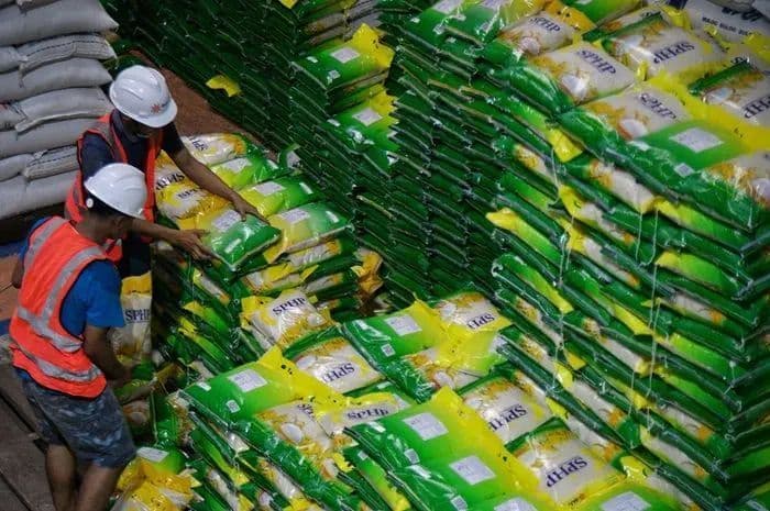 bantuan_beras_tak_merata_pengamat_sosial_dapat_memicu_kericuhan_di_masyarakat