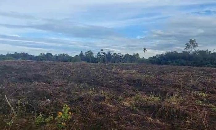 ribuan_hektare_lahan_pertanian_di_dairi_gagal_tanam_akibat_kemarau_panjang