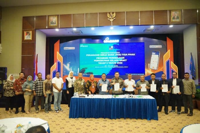 bank_sumut_siapkan_dana_psr_rp445_miliar_untuk_peremajaan_sawit_rakyat