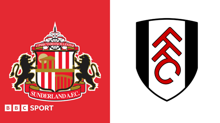 sunderland_vs_fulham_10_wilson_isidor_cetak_gol_kemenangan