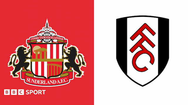 sunderland_vs_fulham_10_wilson_isidor_cetak_gol_kemenangan