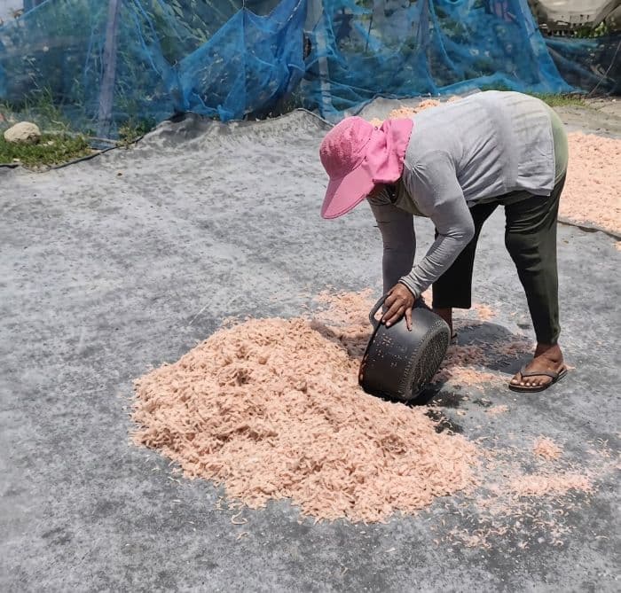 harga_udang_kecepe_di_pantai_labu_deli_serdang_turun_nelayan_pilih_tak_melaut