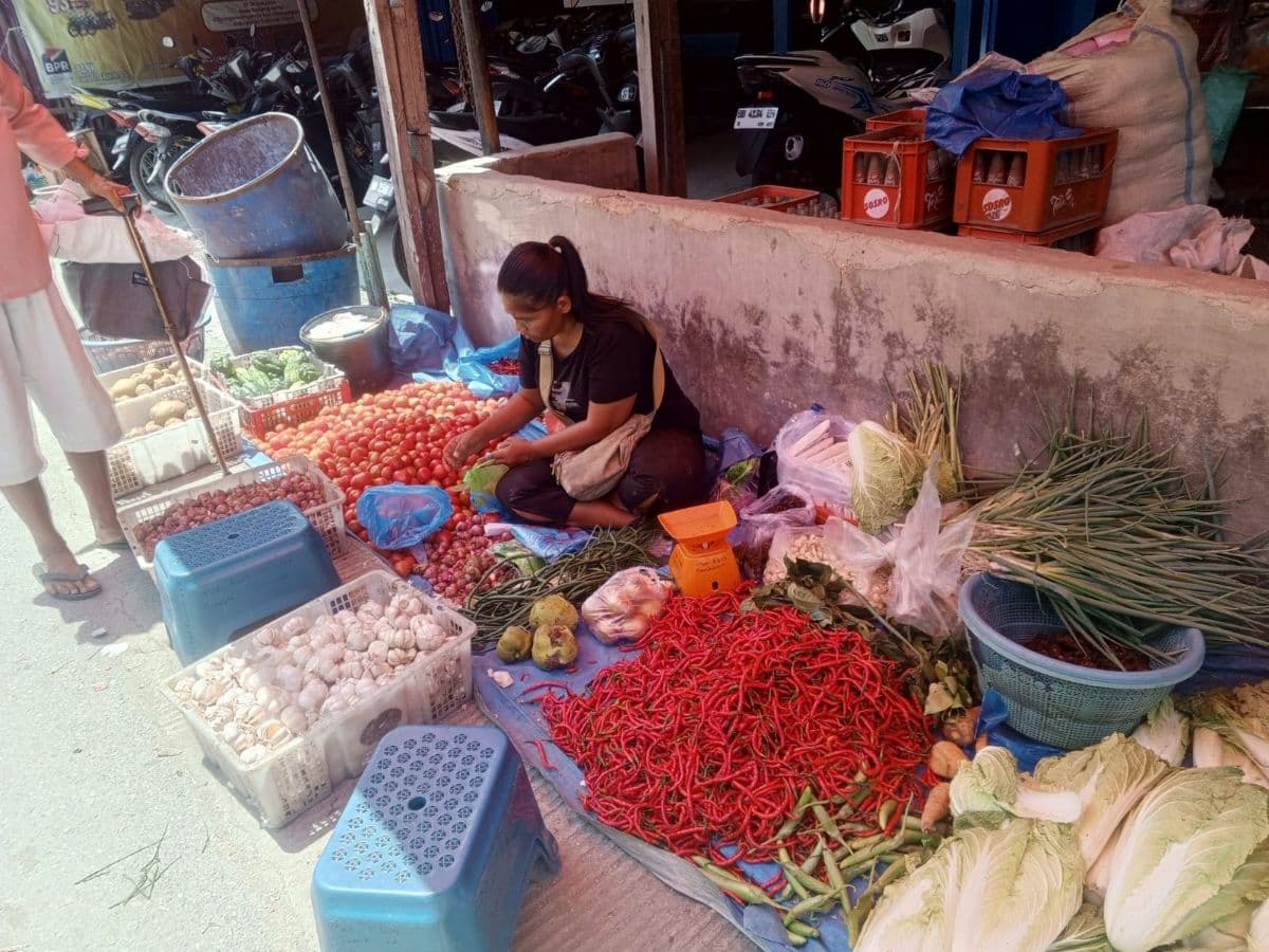 harga_cabai_dan_andaliman_di_toba_masih_tinggi_andaliman_tembus_rp170_ribu_per_kg