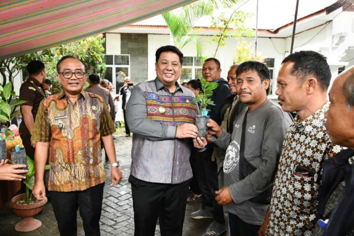 pemkab_samosir_salurkan_125_juta_bibit_kopi_kepada_245_kelompok_tani