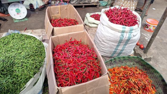 harga_cabai_merah_di_sumut_sentuh_rp100000_per_kilogram_desember_terancam_inflasi