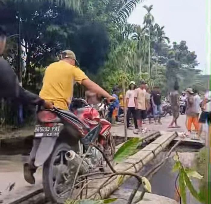 warga_bangun_jembatan_darurat_dari_batang_kelapa_di_langkat