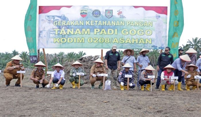 dorong_ketahanan_pangan_daerah_forkopimda_asahan_tanam_padi_gogo_tahap_ii_