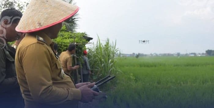 pemanfaatan_teknologi_pertanian_tingkatkan_hasil_panen_timun_di_deli_serdang