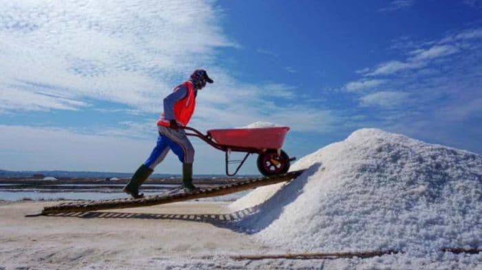 ri_buka_keran_impor_kebutuhan_industri_untuk_sejumlah_komoditas_pangan_pada_2026