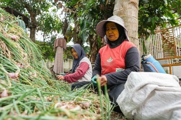 bupati_deli_serdang_normalisasi_irigasi_dan_dukung_alsintan_petani