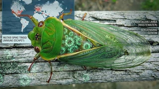 varian_baru_covid19_cicada_terdeteksi_global_ini_faktanya