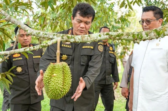 anggota_dpr_dukung_ekspor_durian_ke_china_dorong_kesejahteraan_petani