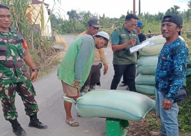 bulog_pematangsiantar_serap_245_ton_gabah_dari_petani_pada_akhir_juli_2025